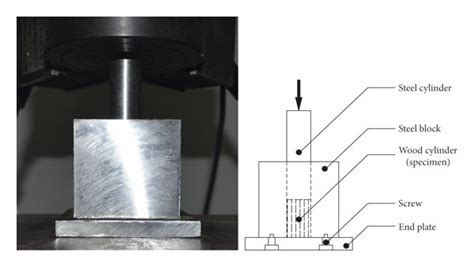 lateral confined compression test|[PDF] CONFINED COMPRESSION TEST FOR .